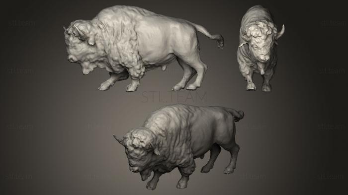 3D model bison (STL)